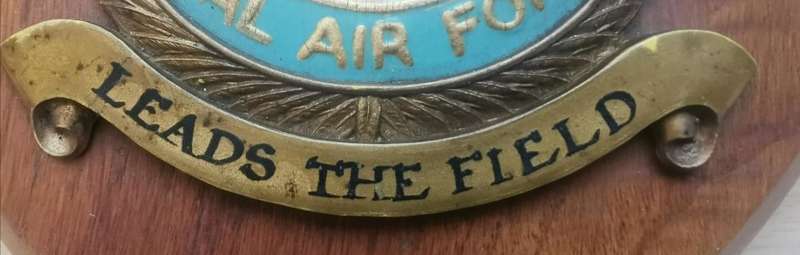 Rare Royal Air Force (RAF) Squadron 12 handpainted plaque queen`s crown