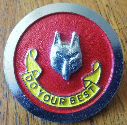 Vintage enamelled Boy Scouts Wolf Cub cap badge - Do Your Best - by Metal Art