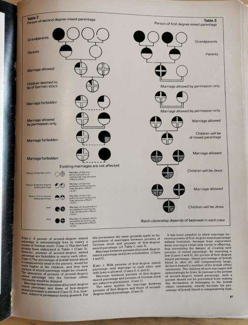 English extract of the Handbook of the Nazi Party (Organisationsbuch der NSDAP) + infantry weapons