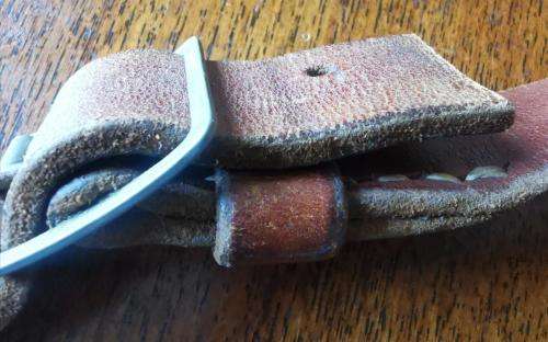 SA Police or BSAP high quality leather revolver holster - no markings