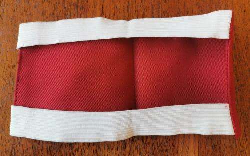 SA Railways Blue Train armband