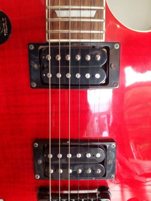 Epiphone Slash Les Paul Snakepit [Limited Edition]