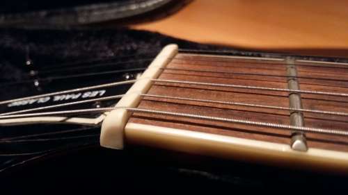 Epiphone Slash Les Paul Snakepit [Limited Edition]