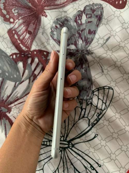 iPhone 8 Plus