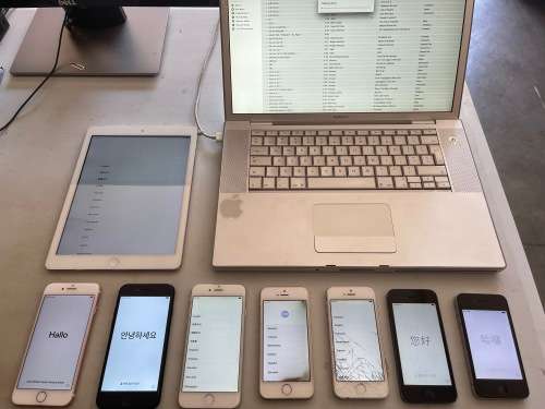 APPLE BUNDLE