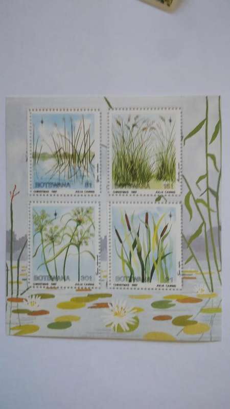 BOTSWANA BEAUTIFUL 1987 FLORA UMM MS SG MS643