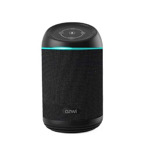 Alexa Smart Speaker