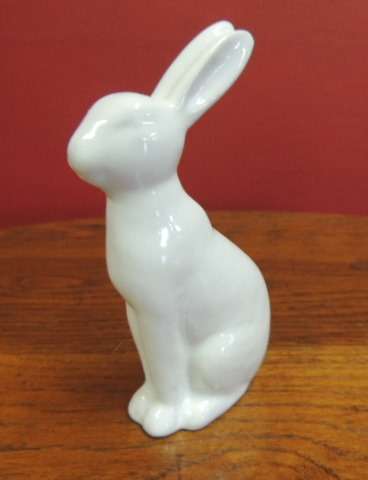 WHITE BABY BUNNY