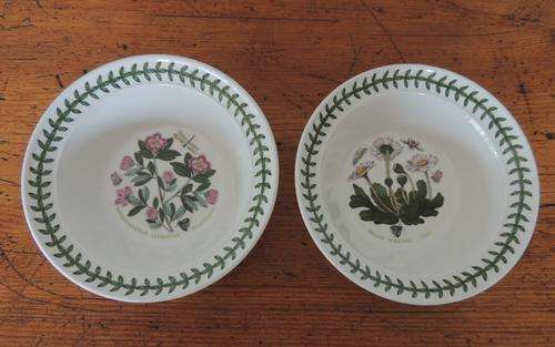 PORTMEIRION "THE BOTANIC GARDEN" - TWO CEREAL BOWLS