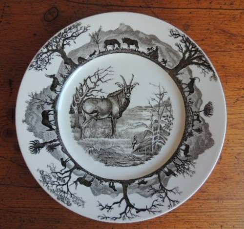 WEDGEWOOD RACK PLATE - KRUGER NATIONAL PARK, ROAN ANTELOPE