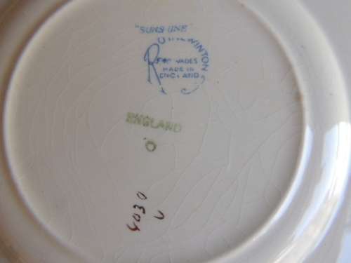 ROYAL WINTON CHINTZ PLATE - "SUNSHINE"