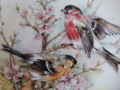 CONNAUGHT COLLECTION OF ENGLISH GARDEN BIRDS - "BULLFINCHES"