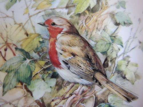 CONNAUGHT COLLECTION OF ENGLISH GARDEN BIRDS - "THE ROBIN"