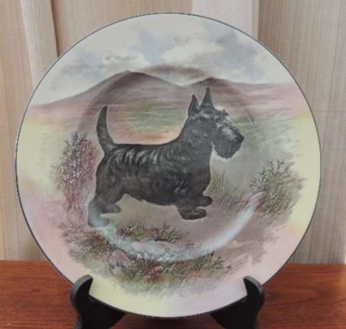 ROYAL DOULTON CABINET PLATE - "SCOTTISH TERRIER"