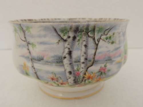 ROYAL ALBERT SUGAR BOWL (TEA) - " SILVER BIRCH "