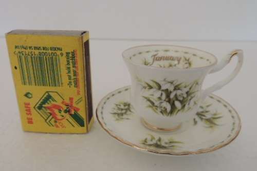 ROYAL ALBERT MINIATURE FLOWER OF THE MONTH DUO - JANUARY