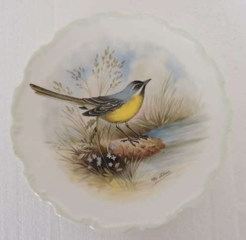 ROYAL ALBERT PLATE FROM THE WOODLAND BIRDS COLLECTION - "YELLOW WAGTAIL - MOTACILLA FLAVA"