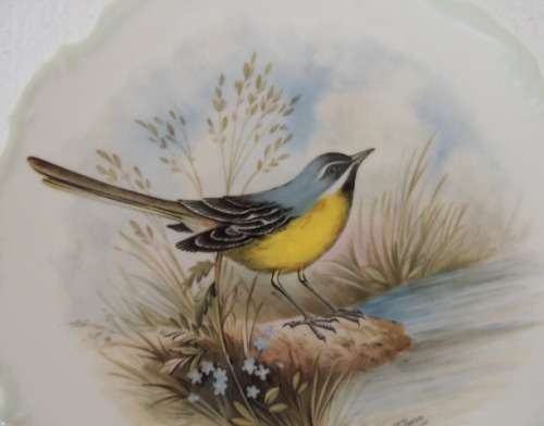 ROYAL ALBERT PLATE FROM THE WOODLAND BIRDS COLLECTION - "YELLOW WAGTAIL - MOTACILLA FLAVA"