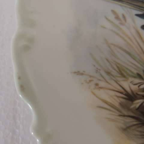 ROYAL ALBERT PLATE FROM THE WOODLAND BIRDS COLLECTION - "YELLOW WAGTAIL - MOTACILLA FLAVA"