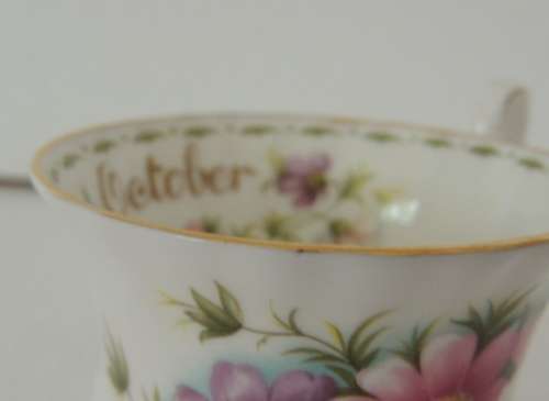 ROYAL ALBERT FLOWER OF THE MONTH DUO - "OCTOBER" COSMOS