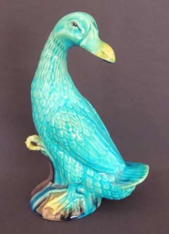 GORGEOUS TURQUOISE DUCK