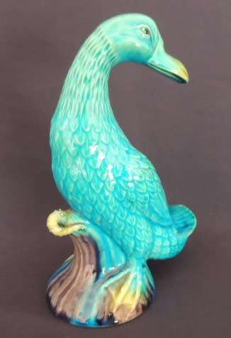 GORGEOUS TURQUOISE DUCK