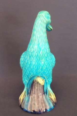 GORGEOUS TURQUOISE DUCK