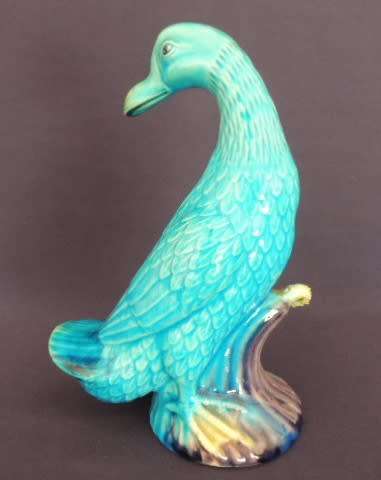GORGEOUS TURQUOISE DUCK
