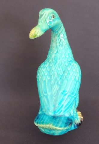 GORGEOUS TURQUOISE DUCK