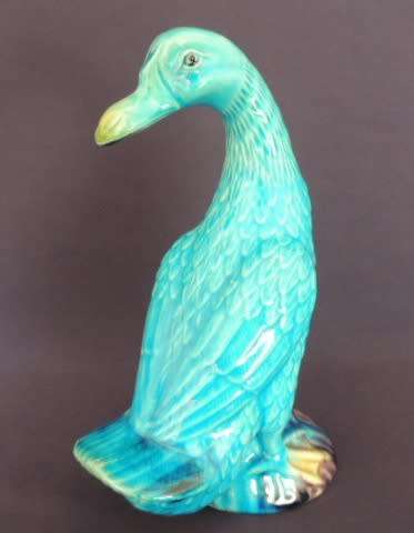 GORGEOUS TURQUOISE DUCK