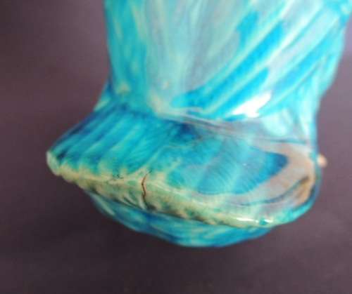 GORGEOUS TURQUOISE DUCK