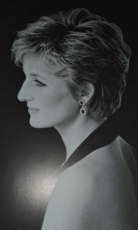Diana The Portrait
