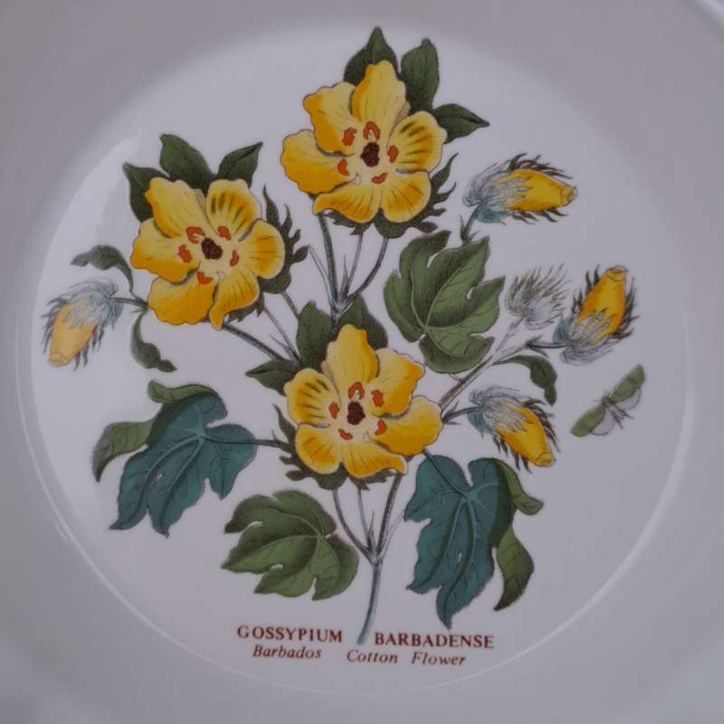 Portmeirion Botanic Garden Salad Bowl