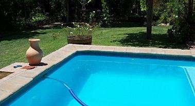 Pool never goes green. Effortless. Economical. Healthy. ActivatorD