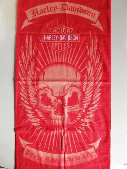 ADULT FACE BUFF HARLEY DAVIDSON - Seamless