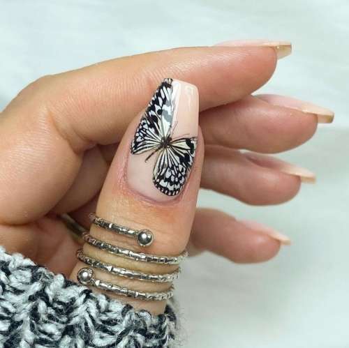 BUTTERFLY PRINT NAIL FOILS (PACK OF 10)