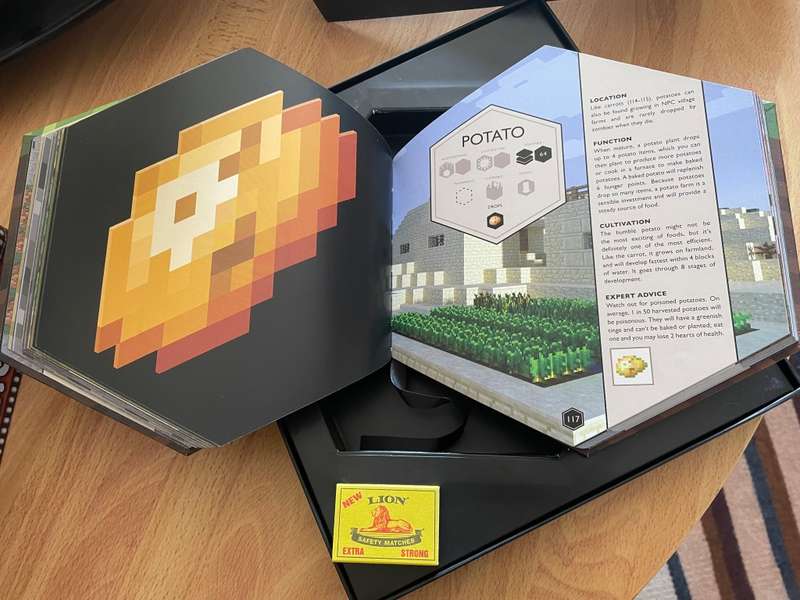 Minecraft Blocktopia Book