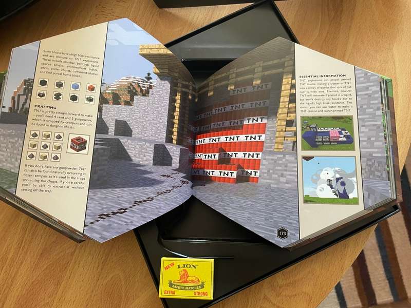 Minecraft Blocktopia Book