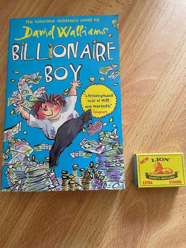 David Williams Billionaire Boy