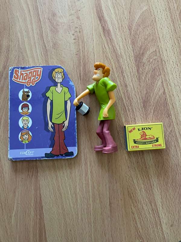 Shaggy toy and book
