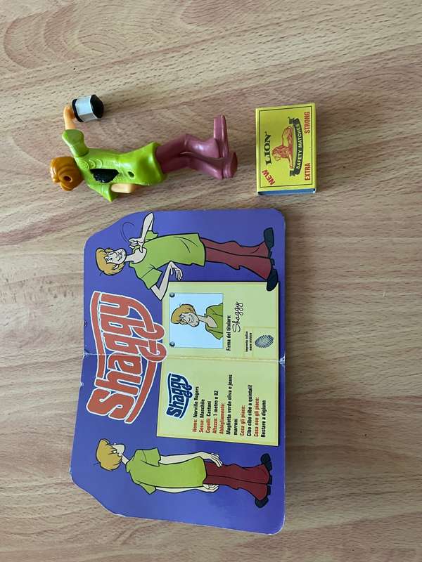 Shaggy toy and book