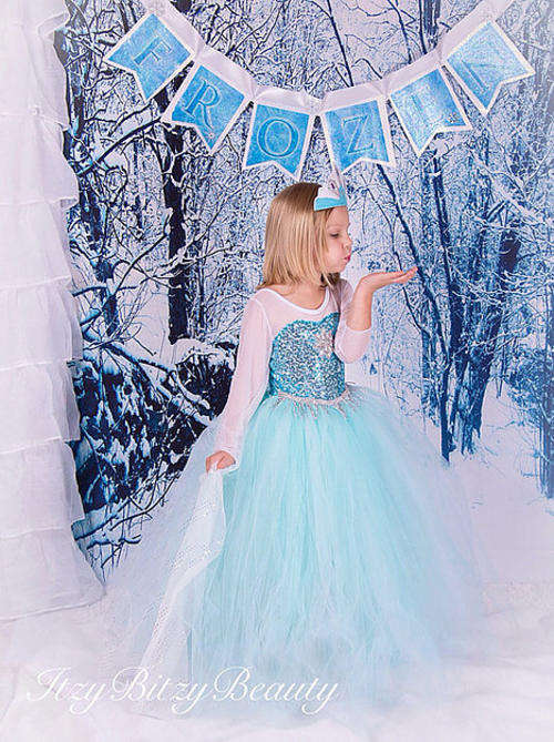 Frozen Elsa Costume Dress 5