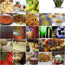 11000 RECIPES