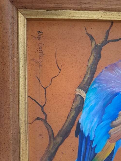 Elize oosthuizen oil painting framed birds