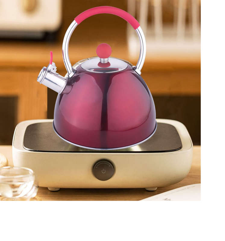 Unique Color Stainless Steel Kitchen Whistle Stove Top Kettle - 3Ltr - Dark Cherry Red