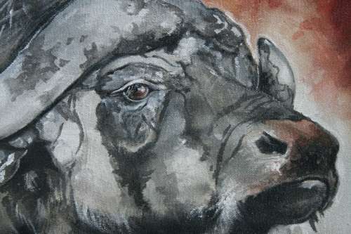 Stunning* Original Ani Brand (1970-) "Study of an African Buffalo" - 500 x 400 mm, on Canvas