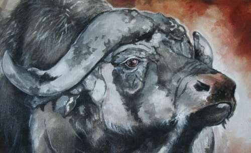 Stunning* Original Ani Brand (1970-) "Study of an African Buffalo" - 500 x 400 mm, on Canvas