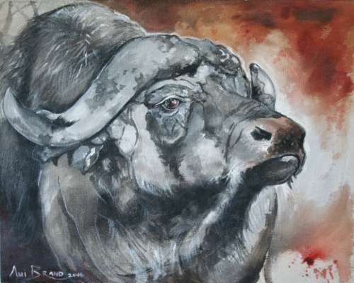 Stunning* Original Ani Brand (1970-) "Study of an African Buffalo" - 500 x 400 mm, on Canvas