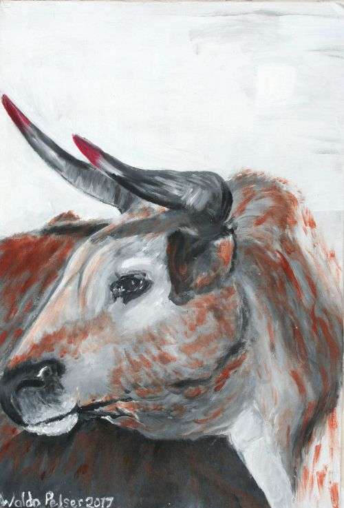 Stunning!*Original Waldo Pelser(1970-) "Nguni - Labola" size: 560 x 350 mm - Large - on Canvas