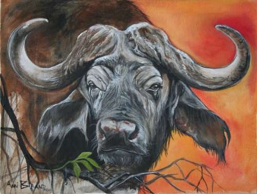 Stunning!*Original Annie Brand (1970-) "Buffalo - Hope" size: 65 x 41cm -Large - on Canvas